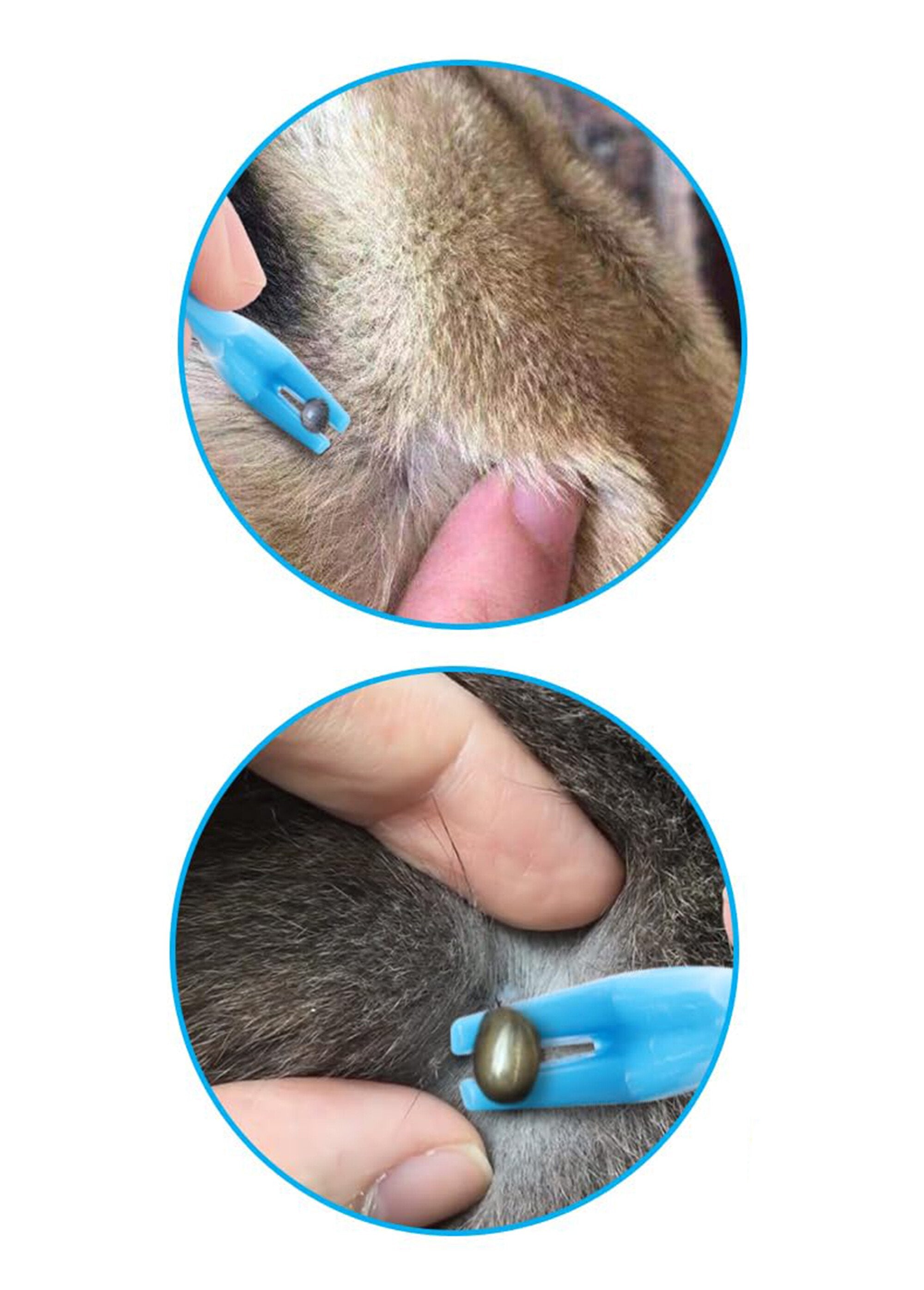 Juego_de_2_ganchos_para_garrapatas_de_animales_Azul_DE1_slim